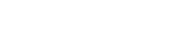 Bella Vida Aesthetics & Wellness logo